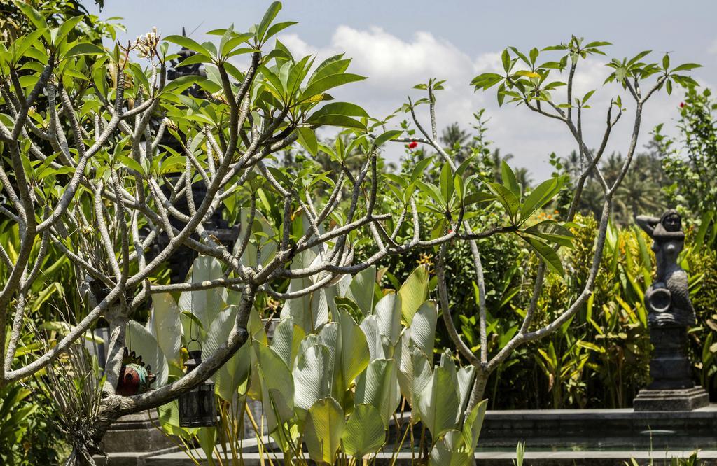 Graha Rusni Villa Ubud  Bilik gambar