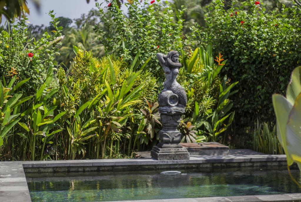 Graha Rusni Villa Ubud  Bilik gambar